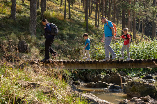 A family on a hike through the mountain forest