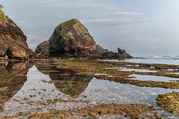 Rocky beach opening to misty shores
