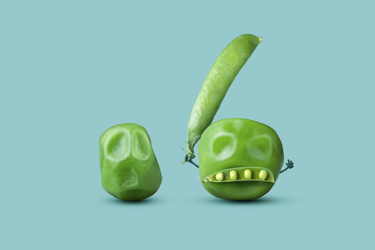 Playful composition of crazy pea with with pod threatening another one