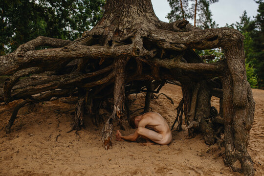 Redhead nude Man bare-chested athlete posing near tree roots outside
