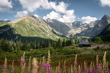 tatra mountains © Wojciech