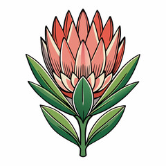 Protea flower cartoon style Icon Vector clipart Illustration