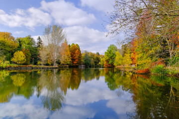 autumn trees reflected in water