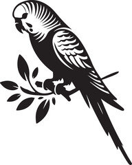 Obraz premium Parakeet bird vector eps 10