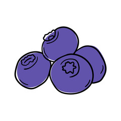 Blueberry vector icon in doodle style. Symbol in simple design. Cartoon object hand drawn isolated on white background.