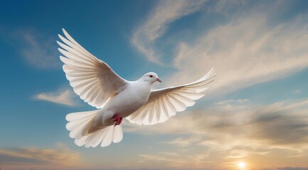 sky funeral background with white dove