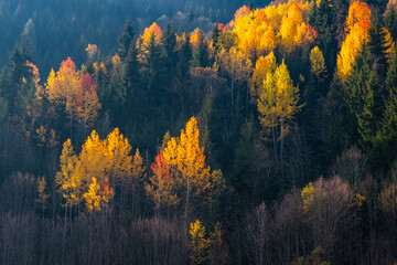 sunset in the mountains