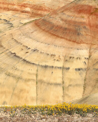 The Painted Hills, Oregon