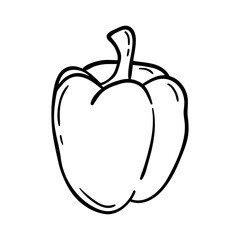Bell pepper vector icon in doodle style. Symbol in simple design. Cartoon object hand drawn isolated on white background.