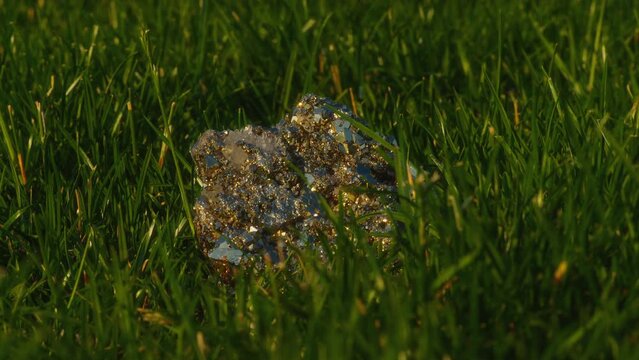 Close-up, pyrite crystal lying in green grass reflecting sun glare at sunset