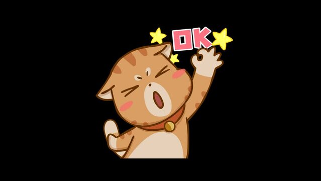 Animated Cat with OK Text - Transparent Background