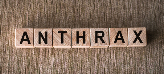 Wooden blocks on a table spell ANTHRAX, referencing the infectious disease.