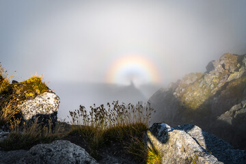 Brocken spectre