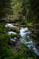 waterfall in the forest