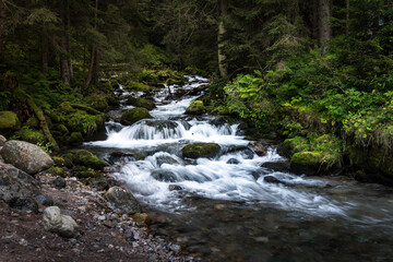 waterfall in the forest