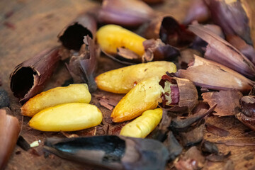 Top View salt roasted pine nut. Isolated in fine detail.