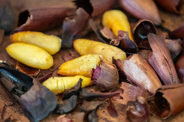 Top View salt roasted pine nut. Isolated in fine detail.