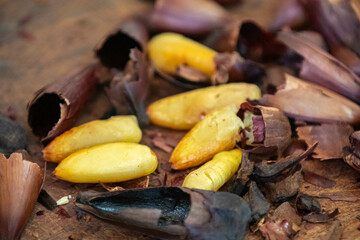 Top View salt roasted pine nut. Isolated in fine detail.