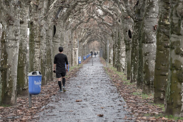 Walking in the park