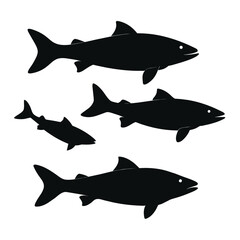 Set of Atlantic Salmon black silhouette vector on white background