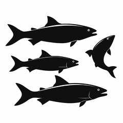 Set of Atlantic Salmon black silhouette vector on white background