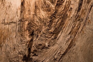 Textura madera antigua
