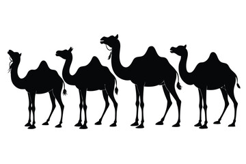 Set of bactrian Camel black silhouette vector on white background