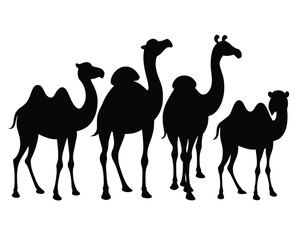 Set of bactrian Camel black silhouette vector on white background