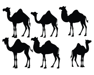 Set of bactrian Camel black silhouette vector on white background