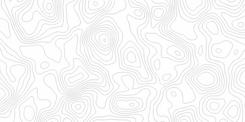 Lines Topographic contour lines map seamless pattern. Geographic mountain relief. Abstract lines background. Contour maps. Topo contour map design.
