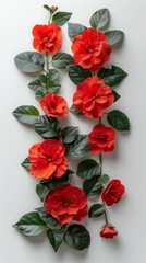 Impatiens on white background. ai generated
