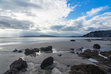 Plage sauvage de la presqu'île de Crozon, joyau breton baigné par la mer d'Iroise, avec sable fin, falaises, et rochers sur le sable mouillé à marée basse.