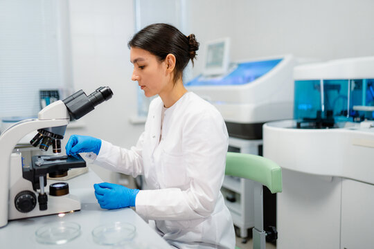 Work in the laboratory