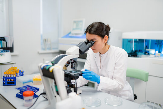 Work in the laboratory
