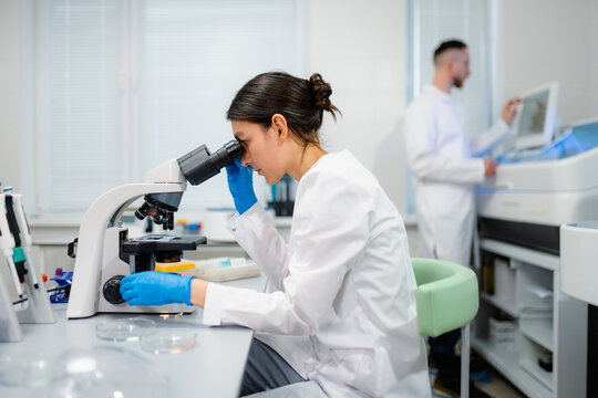 Work in the laboratory