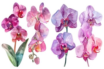 Beautiful watercolor painting of orchids, perfect for various design projects