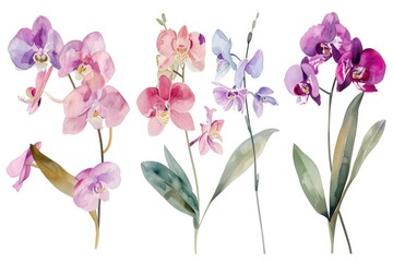 A bunch of flowers grouped together. Suitable for various occasions