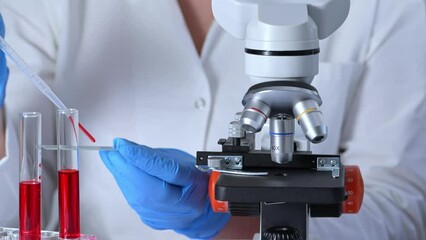 Doctor is researching blood sample in laboratory. Scientist is taking blood sample with pipette from blood collection tube.
