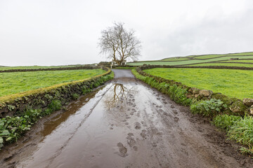 Fototapeta premium A muddy road between stone walls and fields on Terceira Island, Azores.