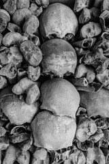 stacked skulls and bones in a grave
