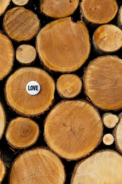Button Vertical with the word LOVE on wood pile 