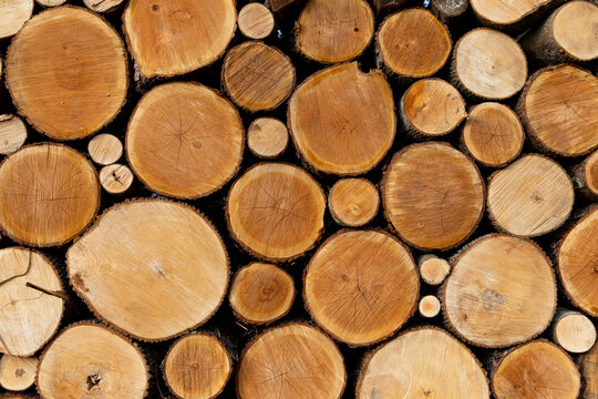 Pile of Round Logs Background 
