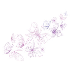 Butterflies are pink, blue, lilac, flying, delicate line art. Graphic illustration hand drawn in pink, lilac ink. Composition stream, template EPS vector