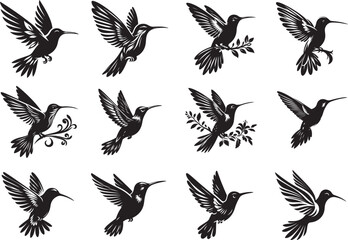 Hummingbird silhouette vector illustrator eps 10