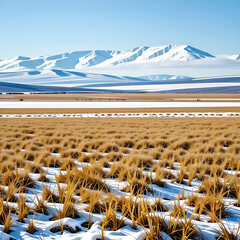 Avast meadow with a snowy mountain view. Generative AI