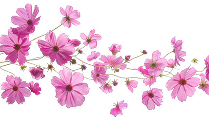 Background with floating spring flowers isolated on transparent background