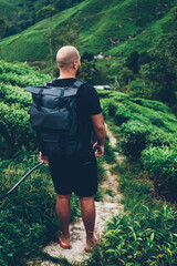 Back view of male tourist with backpack enjoying beautiful scenery of green tea plantation walking in asia natural environment.Hiker with travel rucksack exploring wild expedition during adventure