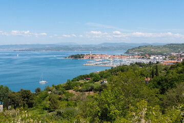 Naklejka premium Green coastal landscapes at the Adriatic sea in the east of Slovenia, Slovenia