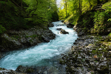 Turquoise river flowing through the Slovenian Canyon called Vintgar Gorge in Triglav National Park, Slovenia