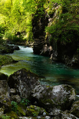 Naklejka premium Turquoise river flowing through the Slovenian Canyon called Vintgar Gorge in Triglav National Park, Slovenia